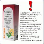 Dr Theiss lándzsás útifű szirup 100 ml Mucoplant *