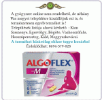 Algoflex-M tabletta 6x+6x *